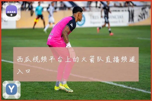 西瓜视频平台上的火箭队直播频道入口