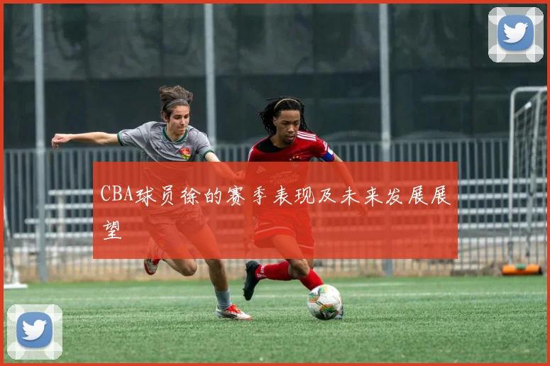 CBA球员徐的赛季表现及未来发展展望