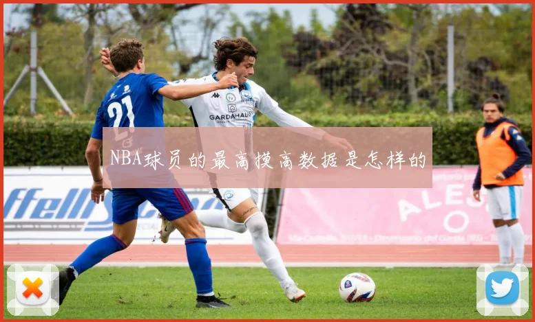 NBA球员的最高摸高数据是怎样的