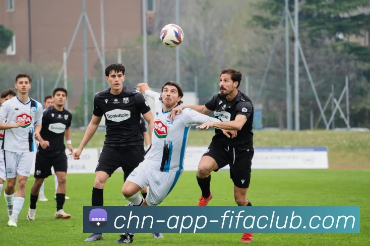 世界杯买球平台生态图