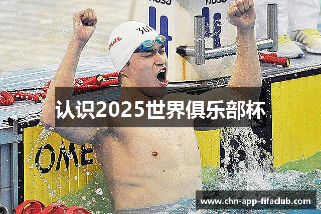 认识2025世界俱乐部杯